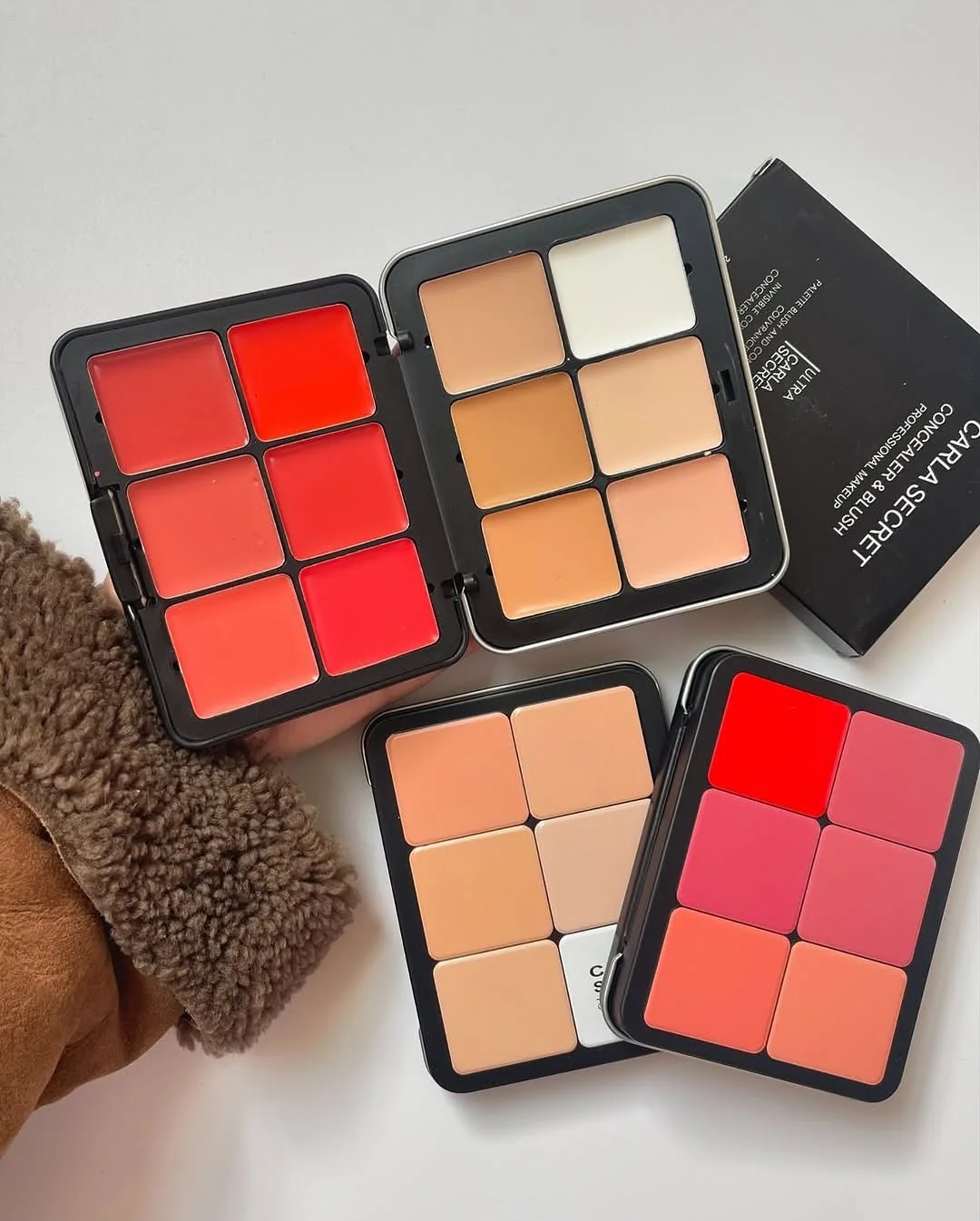 Carla Secret Professional Makeup Palette Collection – Blush, Concealer & 2-in-1 (Carla Secret Concealer Palette)