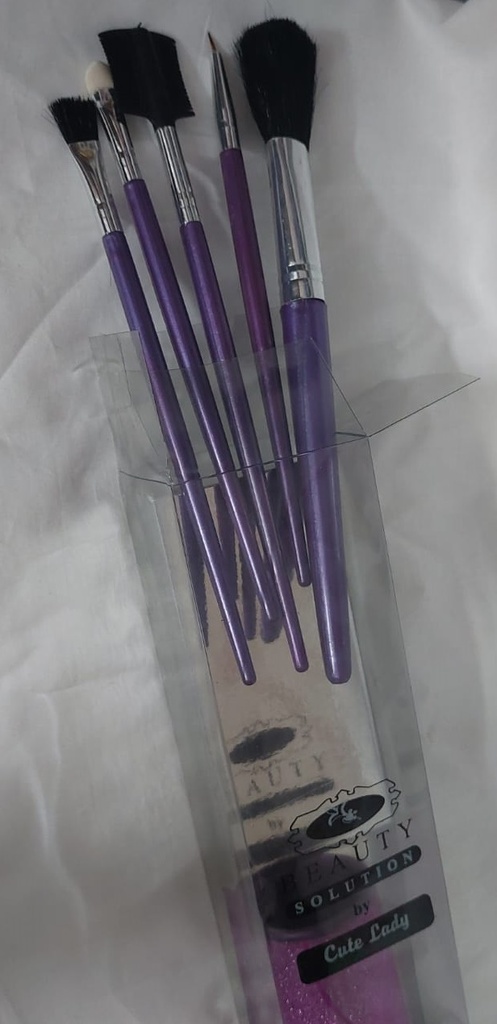 Cute Lady Beauty Solution 5 Pcs Essential Eyes & Face Makeup Brush Set